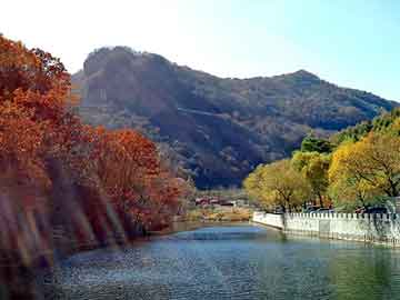商贸城必选，装饰概念与设计潮流
